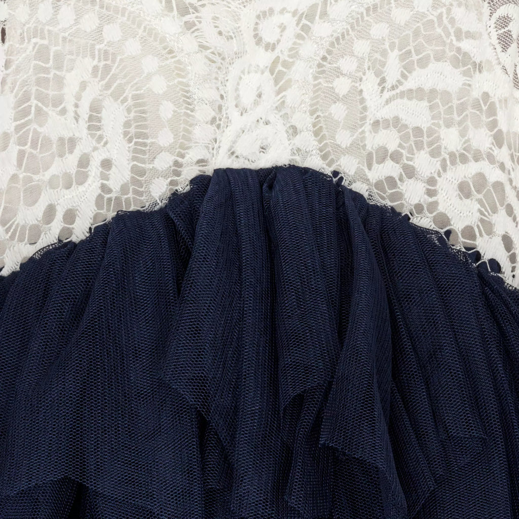 Navy Blue Lace Applique Flower Girl Tulle Dress